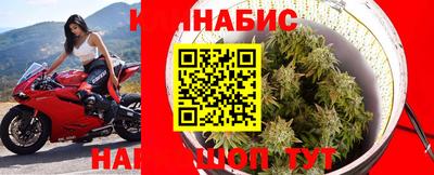a pvp Вязьма