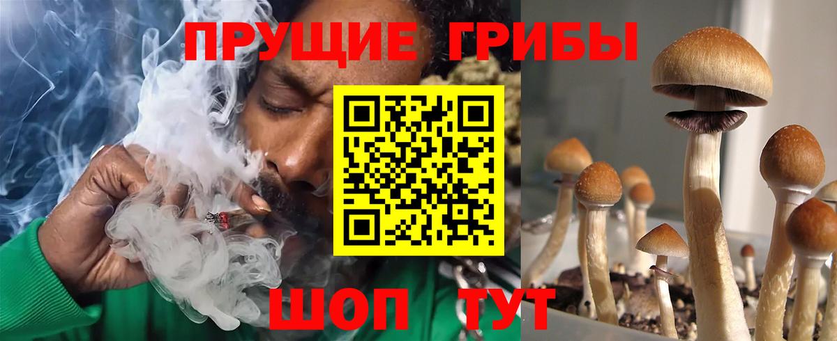 Псилоцибиновые грибы GOLDEN TEACHER Ачинск